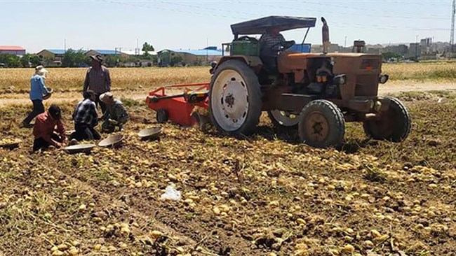 بیشترین سهم در تولید ناخالص داخلی استان اردبیل با کشاورزی، جنگل‌داری و ماهی‌گیری