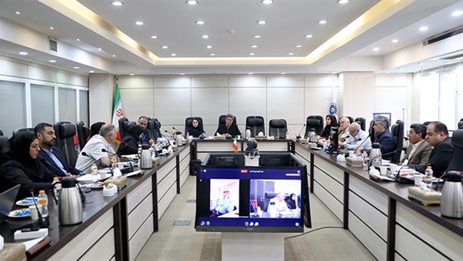 پیش‌نویس آیین‌نامه توسعه، تولید، فرآوری و تجارت میگو با محوریت بخش خصوصی تدوین شود