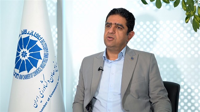  باید اتاق بازرگانی و دولت در مسیر توسعه تشکل‌ها  تلاش کنند