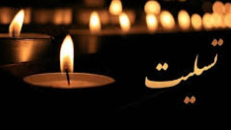 پیام تسلیت دبیر شورای اطلاع رسانی دولت برای درگذشت یک عکاس خبری و یک روزنامه‌نگار سیاسی