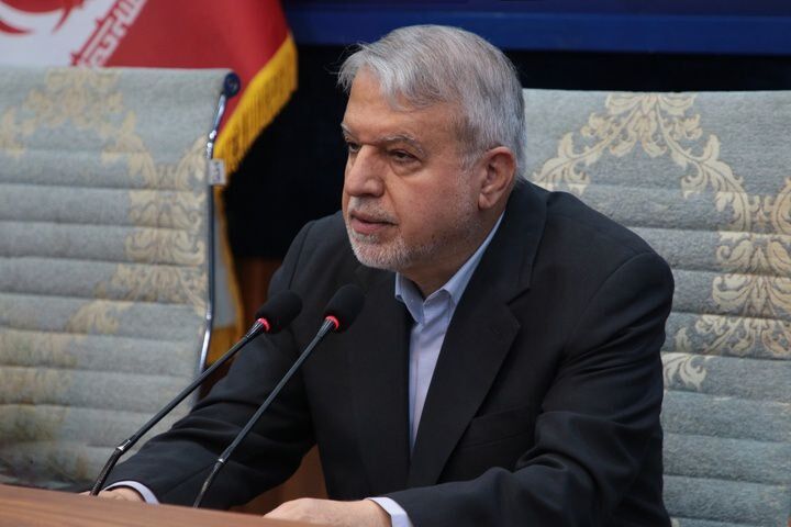 صالحی‌امیری: ژاپن بازار هدف ممتازی برای هنرهای سنتی ایرانی است