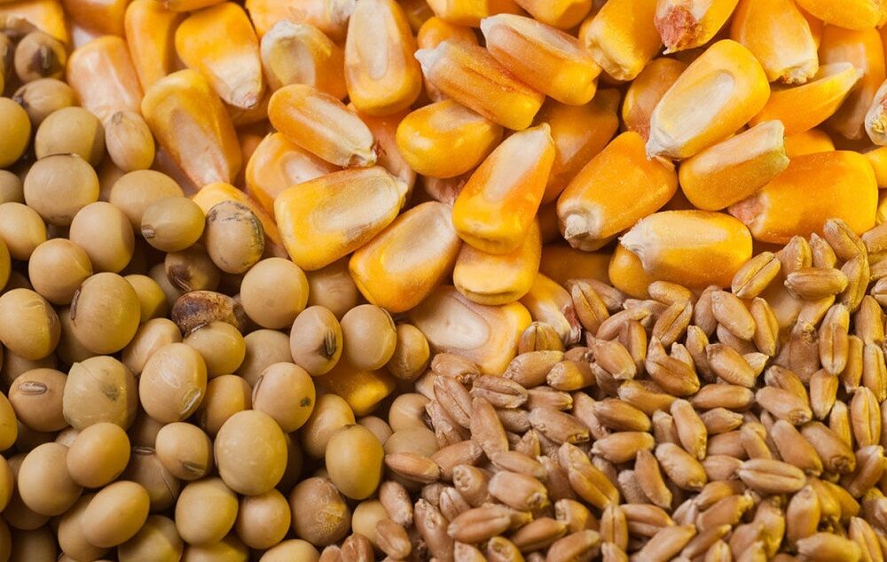 بهره برداری از واحد تولید خوراک دام و طیور در سراب