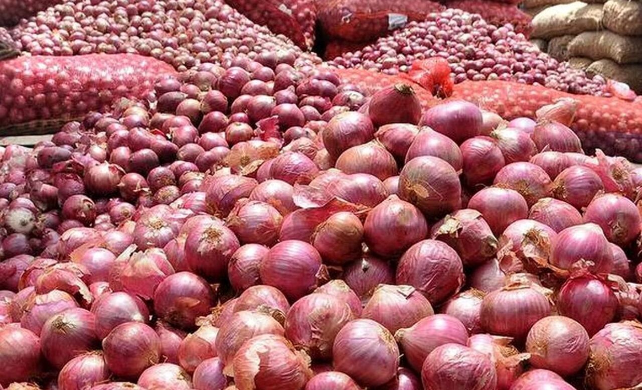 خرید تضمینی پیاز تا ۵ خرداد ادامه دارد